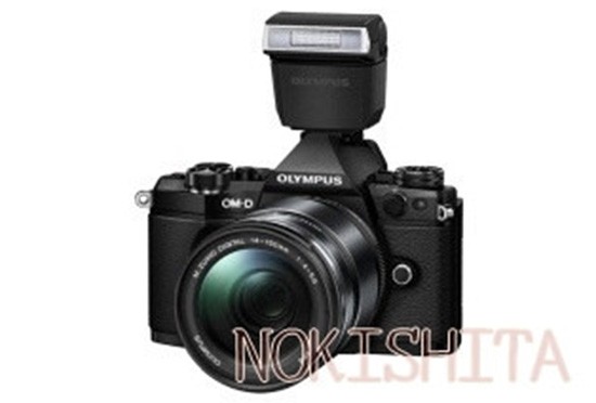 Olympus-E-M5II-camera-with-FL-LM3-flash-550x372.jpg