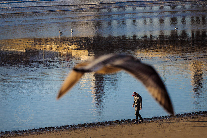 Bildschirmfoto 2015-04-11 um 14.56.48