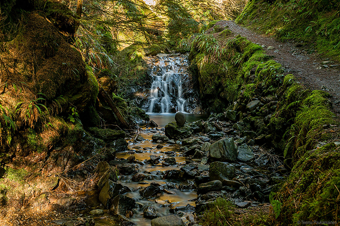 Bildschirmfoto 2015-06-20 um 09.53.07
