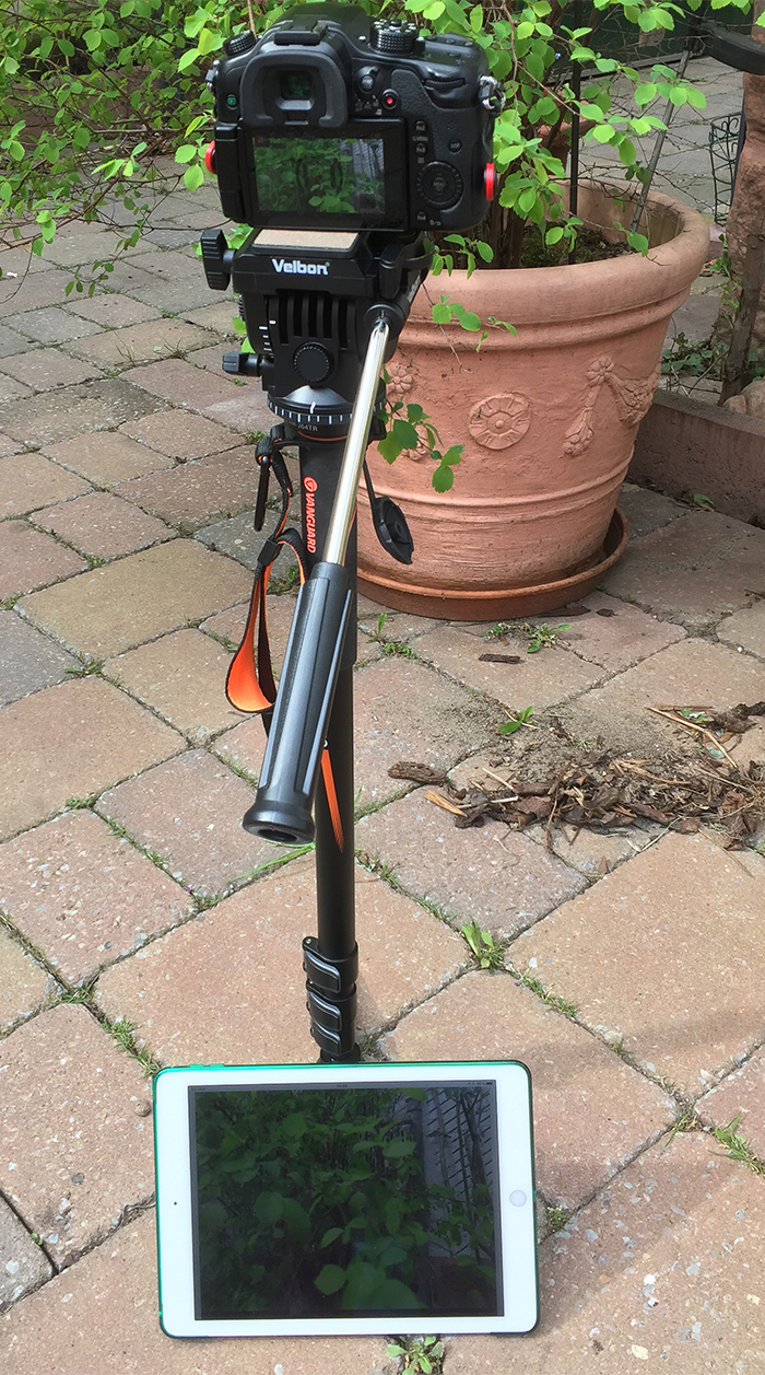 Very first Field Monitor App for GH5 for IOS available! 43 Rumors